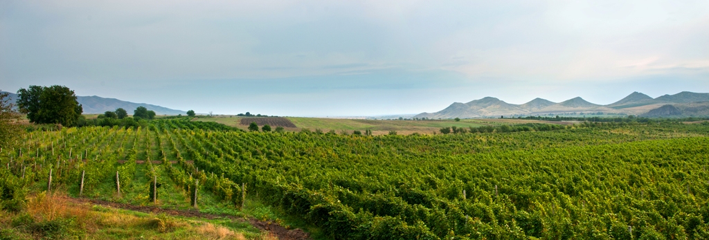 0 Artsakh Brandy Company