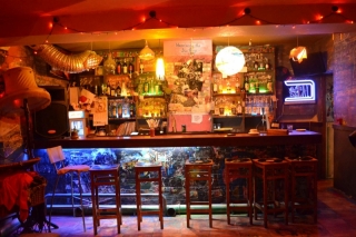Micropubs