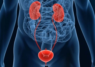 Urologists