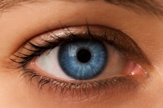 Ophthalmologists