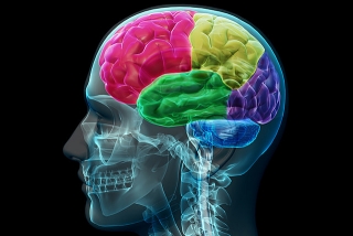Neurosurgeons