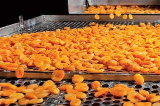 Food processing