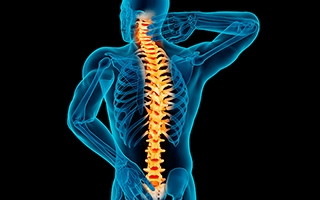 Spinal surgeons