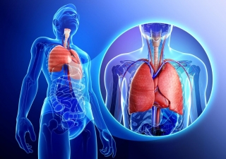 Thoracic surgeons
