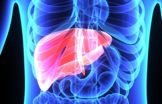 Hepatologists
