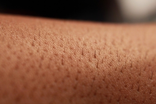 Dermatologists