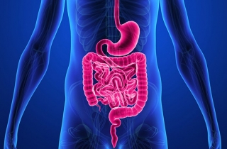Pediatric Gastroenterologists