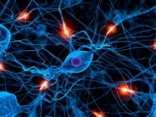 Neurologists