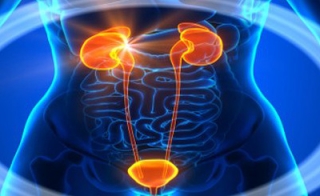 Pediatric Urologists-Surgeons