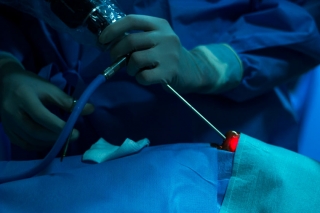 Endoscopic neurosurgeons