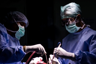 Endoscopic pediatric neurosurgeons