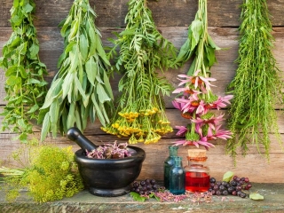 Herbalists