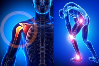 Traumatologists-orthopedists