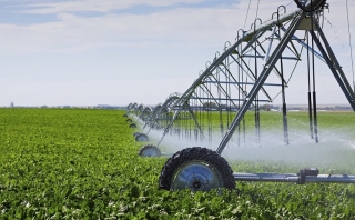Agriculture